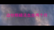 边牧眼睛淡血丝两个月