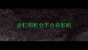 老打狗狗会不会有影响