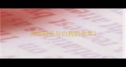 拉布拉多与白狗的串串