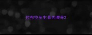 拉布拉多生骨肉喂养