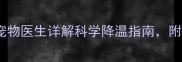小狗吹风扇安全吗宠物医生详解科学降温指南附赠5种实用防暑妙招