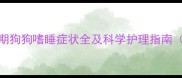 细小病毒恢复期狗狗嗜睡症状全及科学护理指南附急救方案