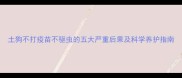 土狗不打疫苗不驱虫的五大严重后果及科学养护指南