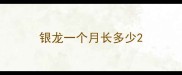 银龙一个月长多少