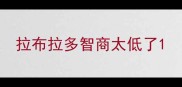 拉布拉多智商太低了