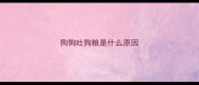 狗狗吐狗粮是什么原因