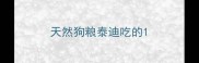 天然狗粮泰迪吃的