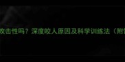拉布拉多犬攻击性吗深度咬人原因及科学训练法附饲养指南