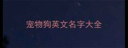 宠物狗英文名字大全
