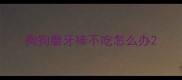 狗狗磨牙棒不吃怎么办