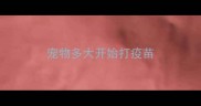 宠物多大开始打疫苗