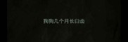 狗狗几个月长臼齿