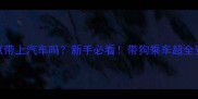 宠物狗可以带上汽车吗新手必看带狗乘车超全安全指南