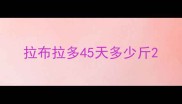 拉布拉多45天多少斤