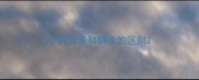 小狗湿疹和螨虫的区别