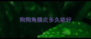 狗狗角膜炎多久能好