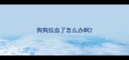 狗狗拉血了怎么办啊