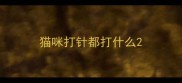 猫咪打针都打什么