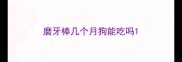 磨牙棒几个月狗能吃吗