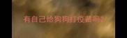 有自己给狗狗打疫苗吗