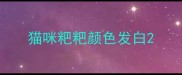 猫咪粑粑颜色发白