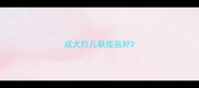 成犬打几联疫苗好