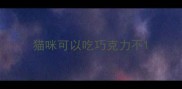 猫咪可以吃巧克力不