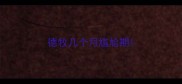德牧几个月尴尬期