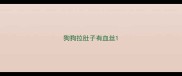 狗狗拉肚子有血丝