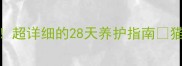 1个月大猫咪护理全攻略新手必看超详细的28天养护指南猫咪养护新手养猫养宠知识宠物日常