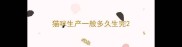 猫咪生产一般多久生完