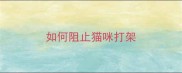 如何阻止猫咪打架