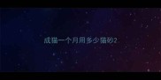 成猫一个月用多少猫砂