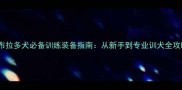 拉布拉多犬必备训练装备指南从新手到专业训犬全攻略