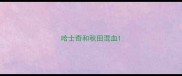 哈士奇和秋田混血