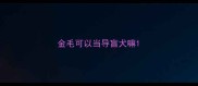 金毛可以当导盲犬嘛