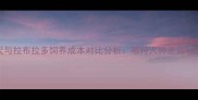 泰迪犬与拉布拉多饲养成本对比分析哪种犬种更省心省钱