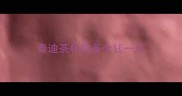 泰迪茶杯狗多少钱一只