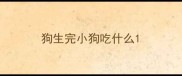 狗生完小狗吃什么