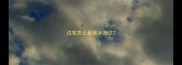 边牧怎么都是水滴纹