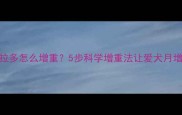 拉布拉多怎么增重5步科学增重法让爱犬月增2斤