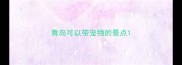 青岛可以带宠物的景点