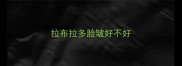 拉布拉多脸皱好不好