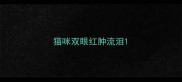 猫咪双眼红肿流泪