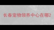 长春宠物领养中心在哪