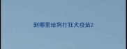 到哪里给狗打狂犬疫苗
