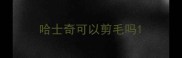 哈士奇可以剪毛吗