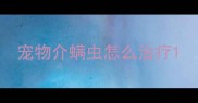 宠物介螨虫怎么治疗