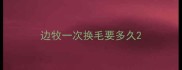 边牧一次换毛要多久