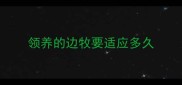 领养的边牧要适应多久